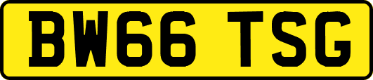 BW66TSG