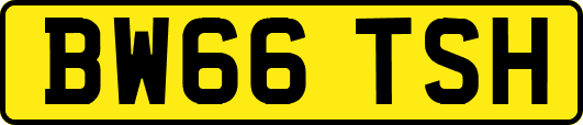 BW66TSH