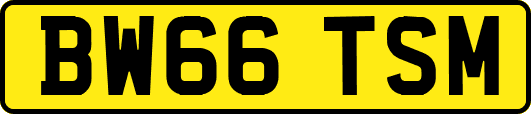 BW66TSM