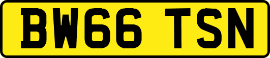 BW66TSN