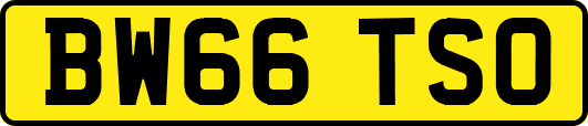 BW66TSO