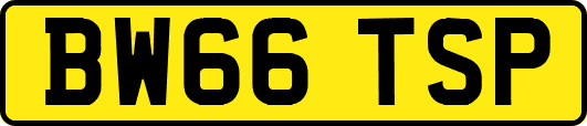 BW66TSP