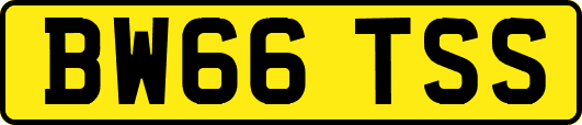 BW66TSS