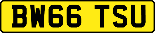 BW66TSU
