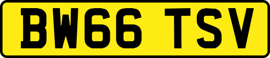 BW66TSV