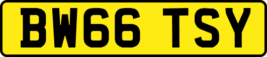 BW66TSY
