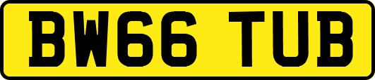 BW66TUB