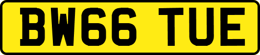 BW66TUE