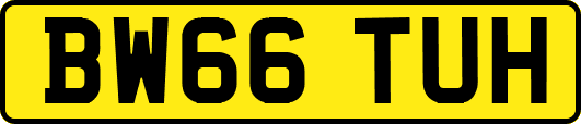 BW66TUH