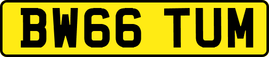 BW66TUM