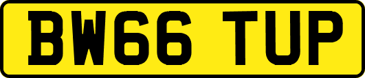 BW66TUP