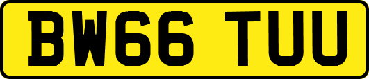 BW66TUU