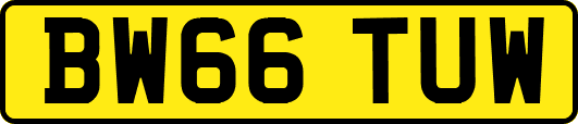 BW66TUW