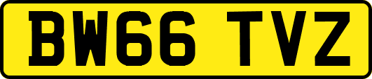 BW66TVZ