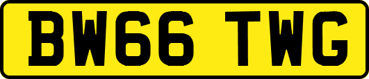 BW66TWG