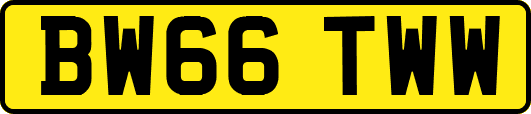 BW66TWW