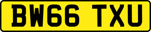BW66TXU