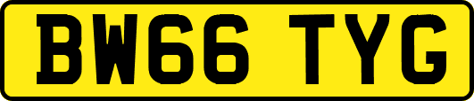 BW66TYG