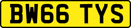 BW66TYS