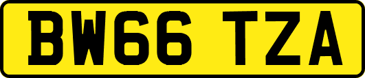 BW66TZA