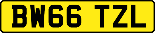 BW66TZL