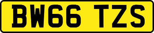 BW66TZS