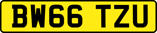 BW66TZU