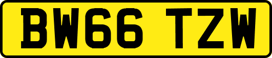 BW66TZW
