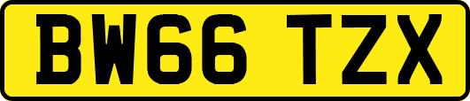 BW66TZX