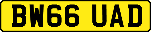 BW66UAD