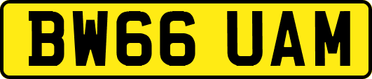 BW66UAM