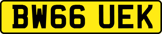 BW66UEK