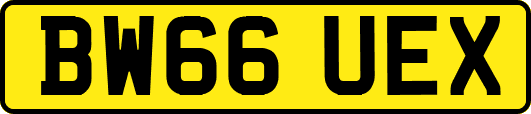 BW66UEX