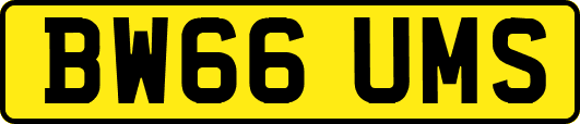 BW66UMS