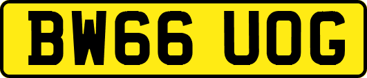 BW66UOG