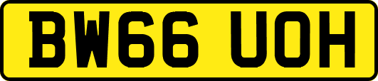 BW66UOH