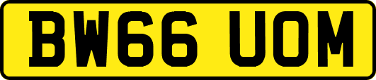 BW66UOM