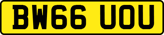 BW66UOU