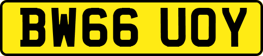 BW66UOY