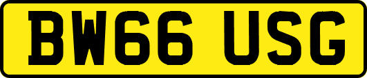 BW66USG