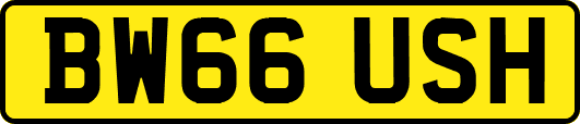 BW66USH