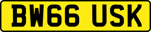 BW66USK