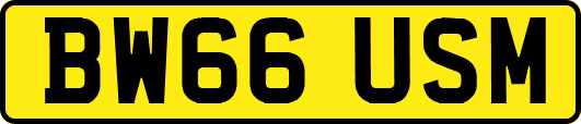 BW66USM