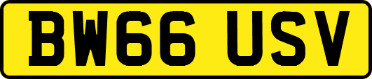 BW66USV