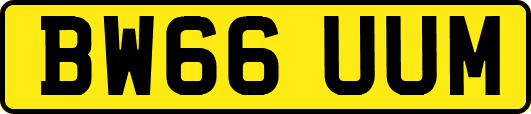 BW66UUM