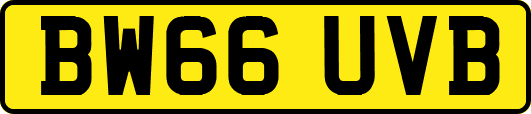 BW66UVB