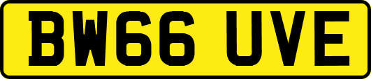 BW66UVE