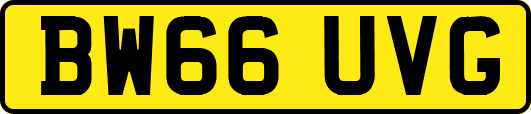 BW66UVG