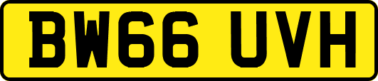 BW66UVH
