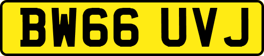 BW66UVJ